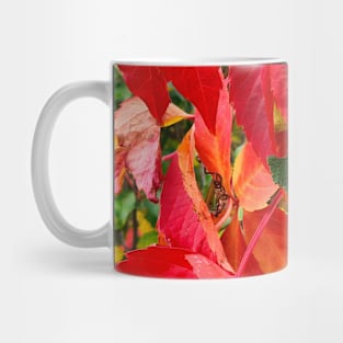 Colors of  Autumn Mug